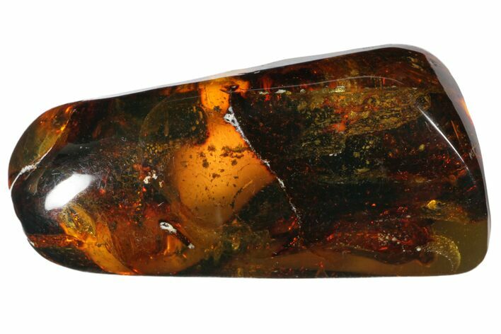 Polished Chiapas Amber ( g) - Mexico #114895